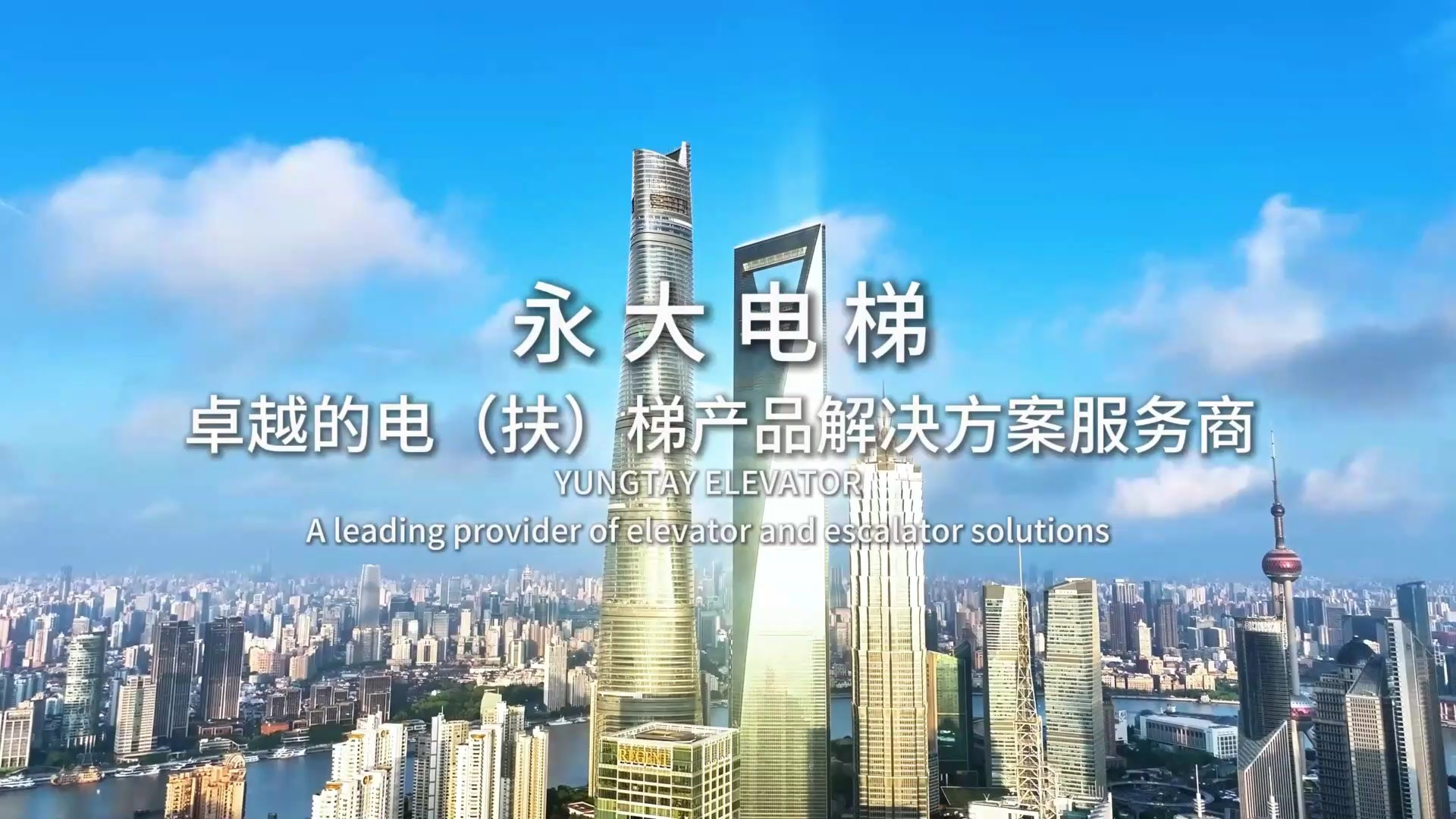 永大電梯公司簡(jiǎn)介